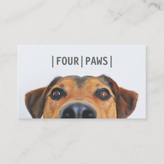 Simple grey pet photography cute dog photo plain business card (Front)