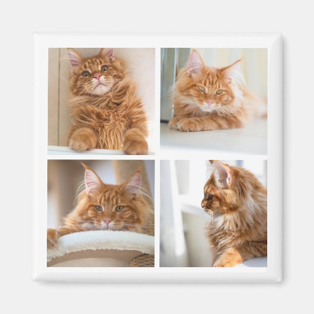 Simple Grid Collage 4 Four Photos Magnet (Front)