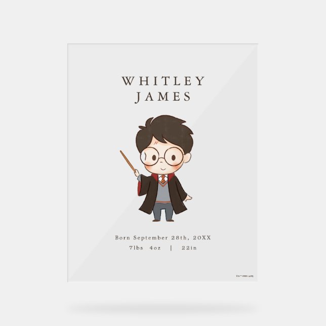 Simple Harry Potter Baby Shower Acrylic Sign (Front)