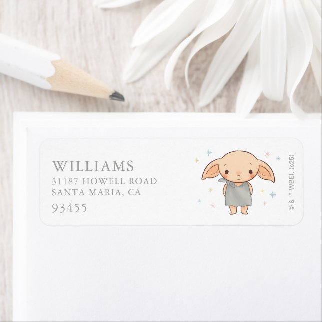 Simple Harry Potter - Baby Shower Dobby (En situation)