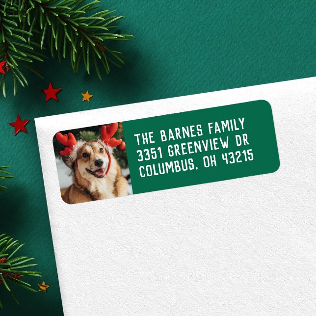 Simple holiday pet photo green return address (Creator Uploaded)