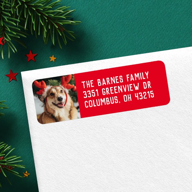 Simple holiday pet photo red return address (Creator Uploaded)