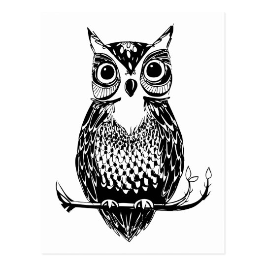 Simple Illustrated Owl Postcard
