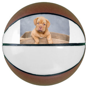 simple minimal add your pet photo name custom basketball