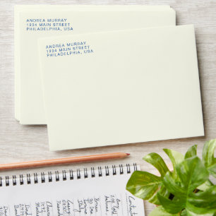 Simple Minimalist Modern Ivory Professional Envelope