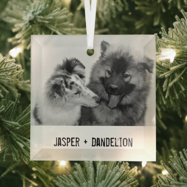 Simple, Modern Custom Pet or People Glass Ornament (Insitu)