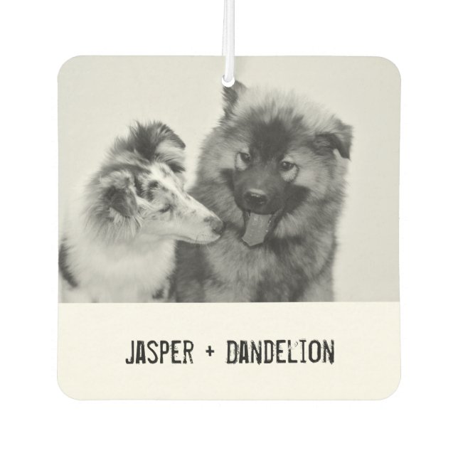 Simple, Modern Custom Pet or People Photo Air Freshener (Front)