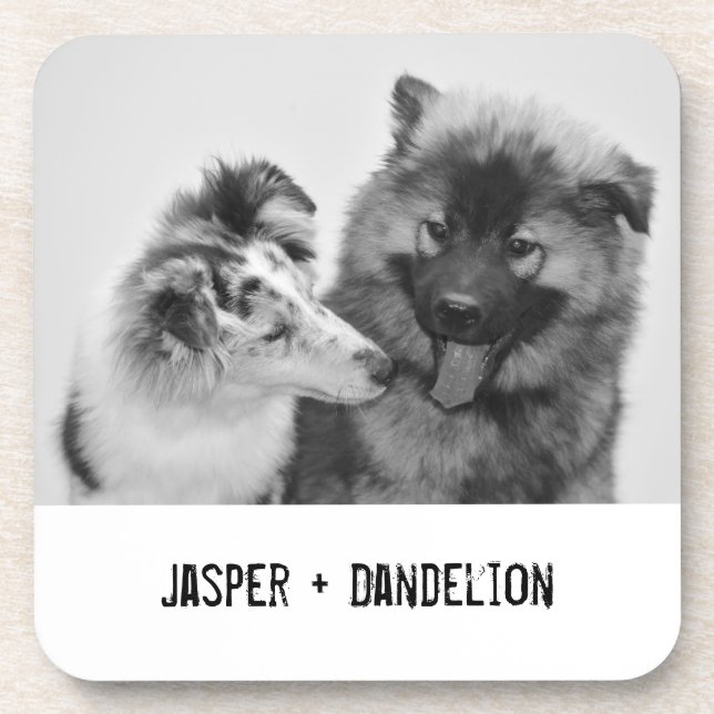 Simple, Modern Custom Pet or People Photo Coaster (Front)