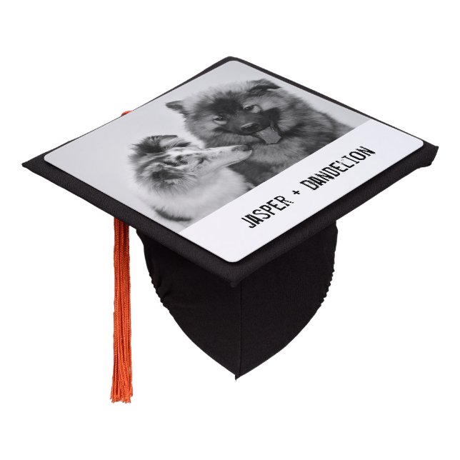 Simple, Modern Custom Pet or People Photo Graduation Cap Topper (Angled)