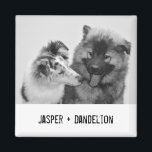 Simple, Modern Custom Pet or People Photo Magnet<br><div class="desc">Add your own photo and text to create a unique photo gift. This refrigerator magnet is ready to be customized with your photo and your own names or message in distressed black typewriter style lettering. The simple, modern black and white style looks great with black and white or colour photos....</div>