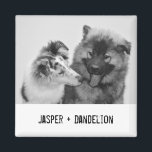 Simple, Modern Custom Pet or People Photo Magnet<br><div class="desc">Add your own photo and text to create a unique photo gift. This refrigerator magnet is ready to be customized with your photo and your own names or message in distressed black typewriter style lettering. The simple, modern black and white style looks great with black and white or colour photos....</div>