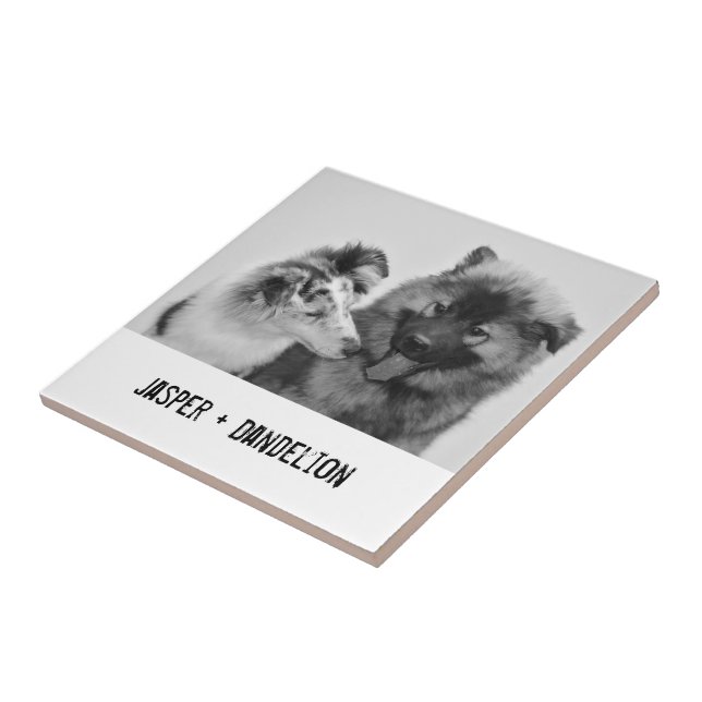Simple, Modern Custom Pet or People Photo Tile (Side)