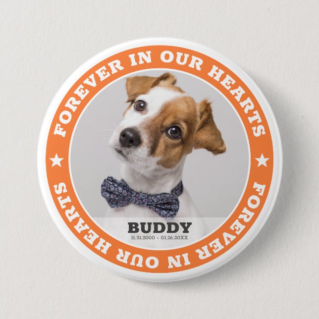 Simple Modern Custom Pet Photo Sympathy Keepsake 3 Inch Round Button (Front)