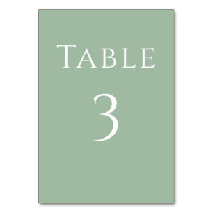 Simple Modern Eucalyptus Wedding Reception Sign Table Number