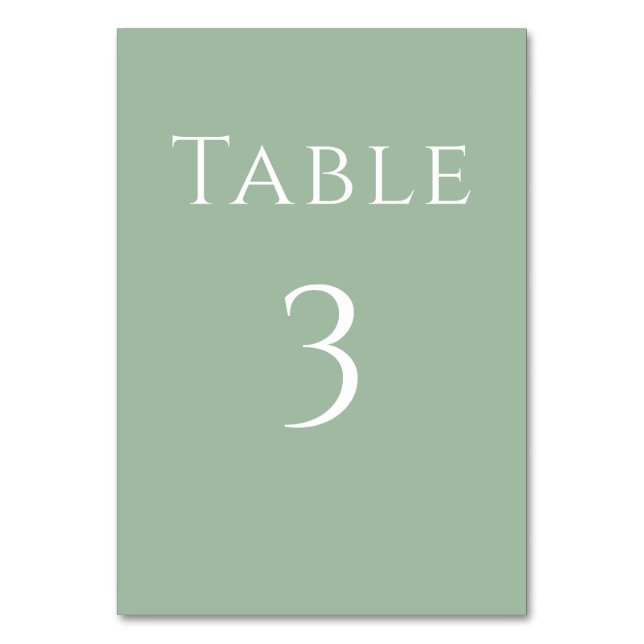 Simple Modern Eucalyptus Wedding Reception Sign Table Number (Back)
