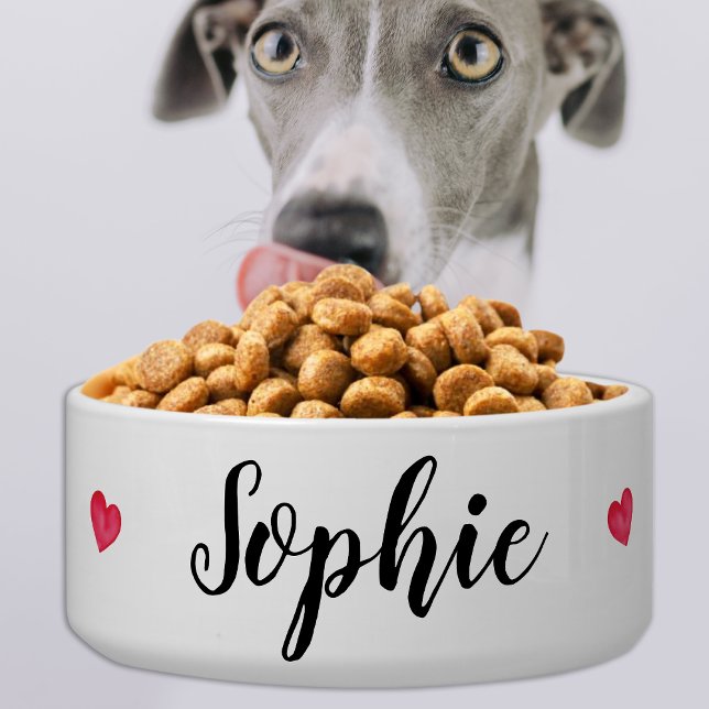 Simple Modern Personalized Cute Dog Cat Pet (Creator Uploaded)