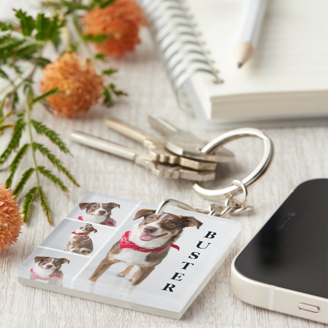 Simple Modern Pet Photo Collage Keychain (Front Right)