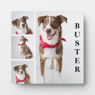 Simple Modern Pet Photo Collage Plaque