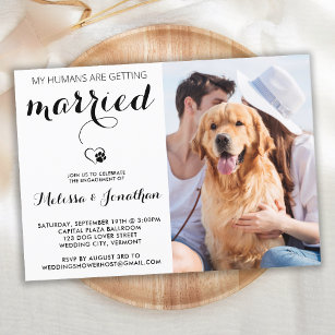 Simple Modern Photo Pet Wedding Engagement Invitation Postcard