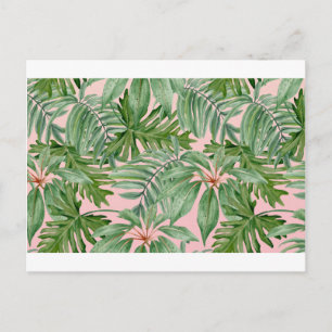 Simple Modern Pink Palm Leaf Tropical Floral  Postcard