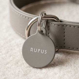 Simple Personalized Dogs Name Beige White Pet Tag