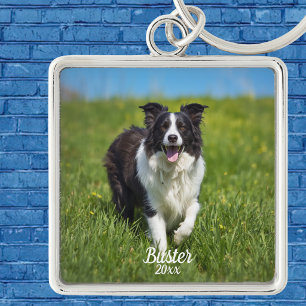 Simple Pet Photo Border Collie Personalize Keychain