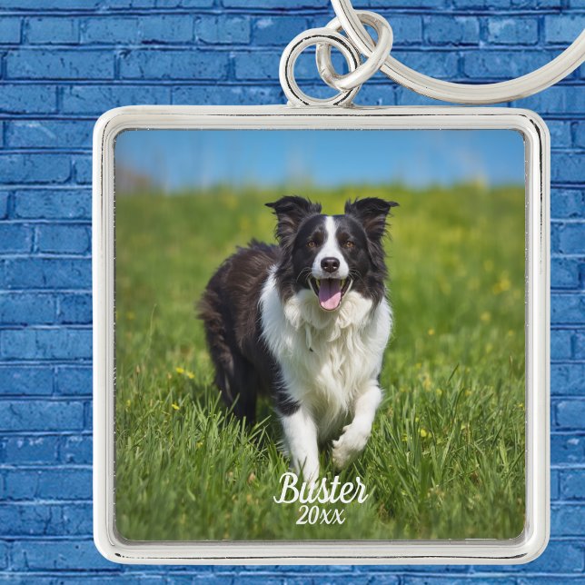 Simple Pet Photo Border Collie Personalize Keychain (Customize this Keychain , Upload your pets Photo, name and current year, )