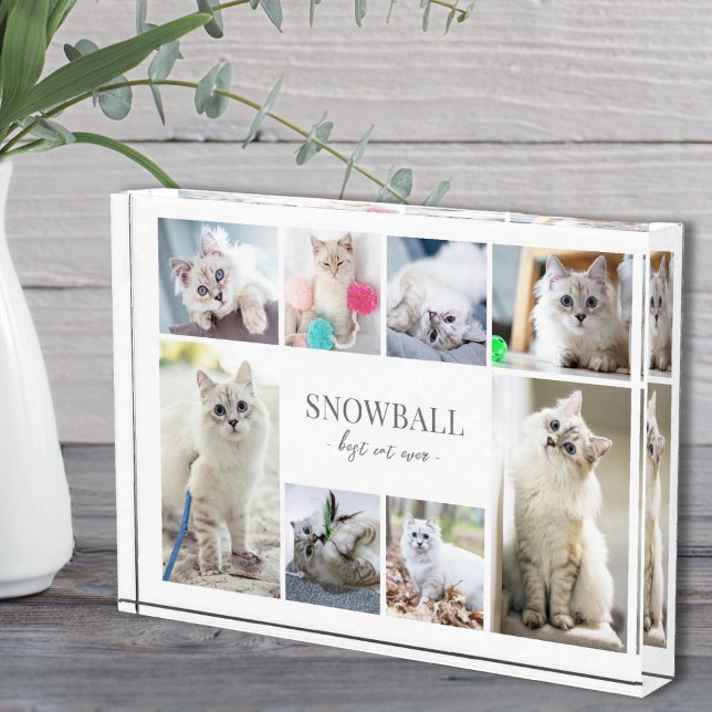 Simple Pet Photo Collage Block (Simple Cat Pet Photo Collage)