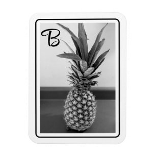 Simple Photo of a Pineapple with Single Initial Magnet