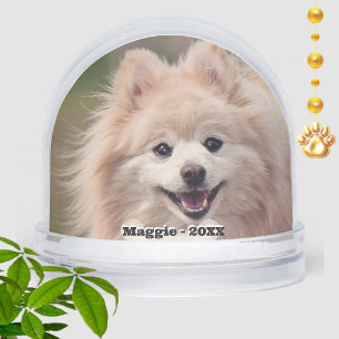 Simple photo personnalisé de chien Poméranie