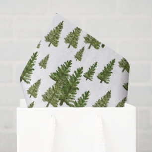 Simple Pine Trees Winter Greenery Pattern Tissue Paper