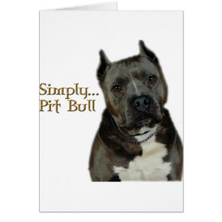 Simple PitBull