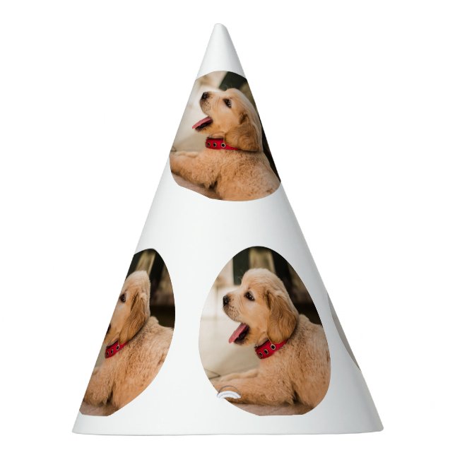 Simple puppie pattern birthday party hat (Right)