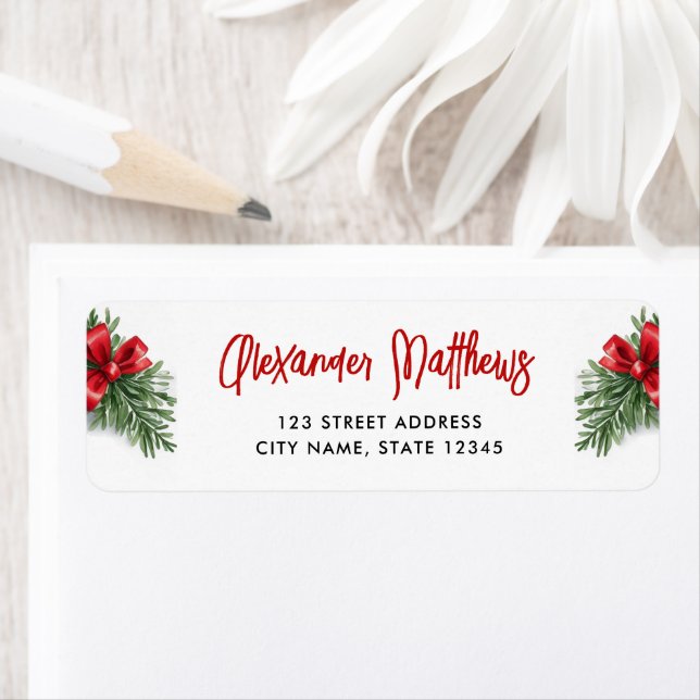 Simple Red Bow Green Pine Christmas Illustration (Insitu)