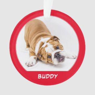 Simple Red Dog Pet Photo Name Holidays Keepsake Ornament