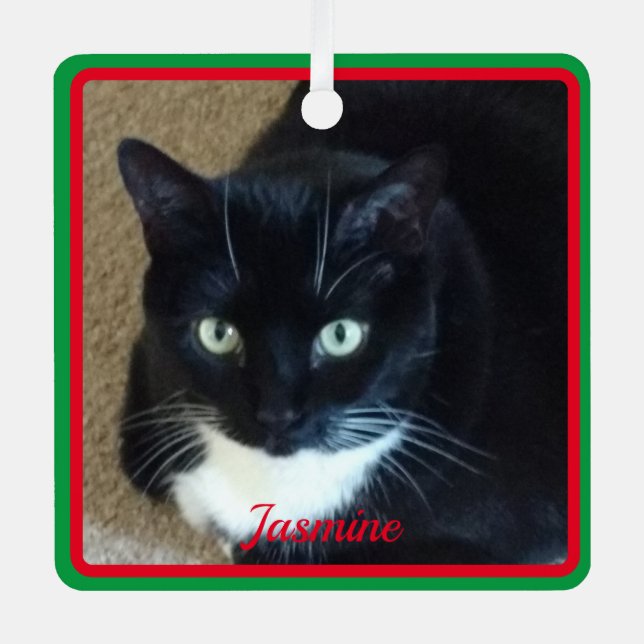 Simple red green border pet photo and name metal ornament (Front)
