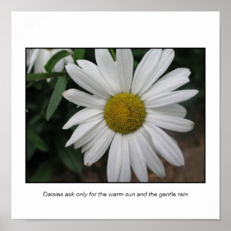 Simple Requests Poster