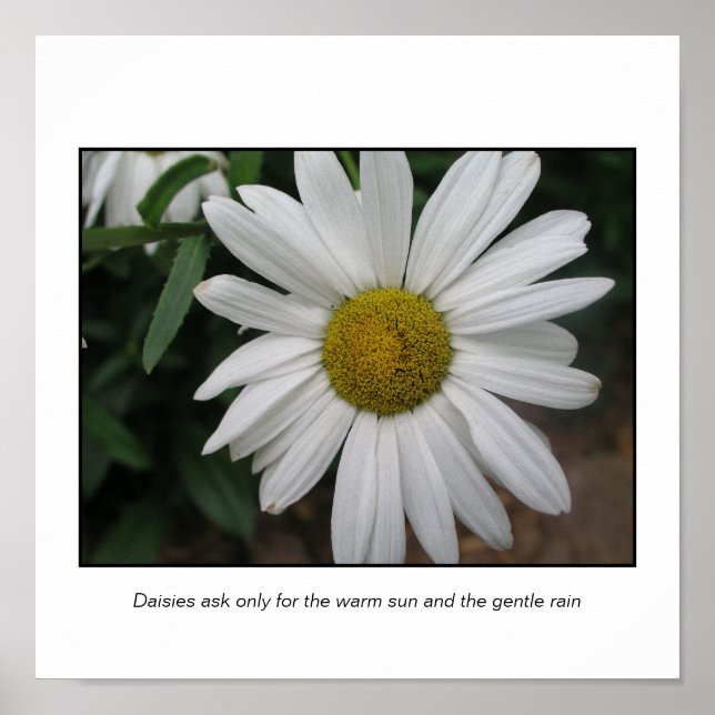 Simple Requests Poster (Front)