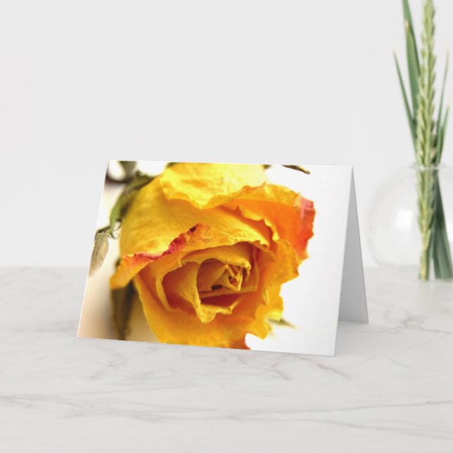 Simple Rose Card (Front)