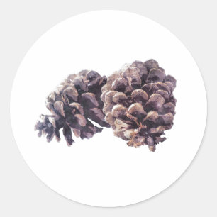 Simple rustic watercolor pine cone Sticker Seal