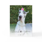 Simple Script Pet Memorial Photo Thank You