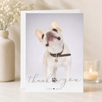 Simple Script Pet Memorial Photo Thank You