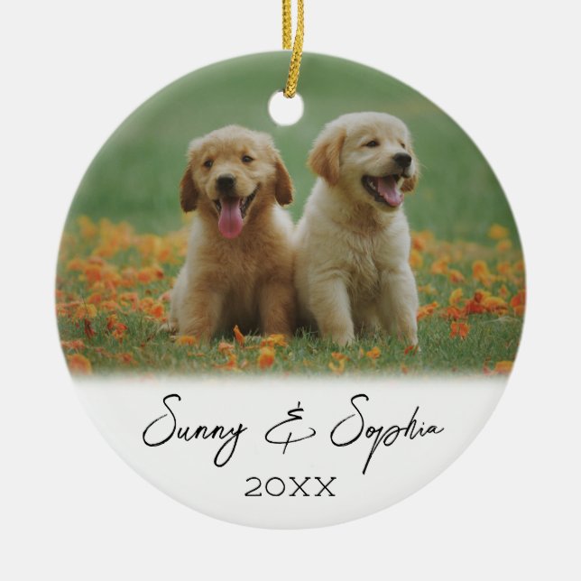 Simple Script Two Puppy Dog Photo Ceramic Ornament (Front)