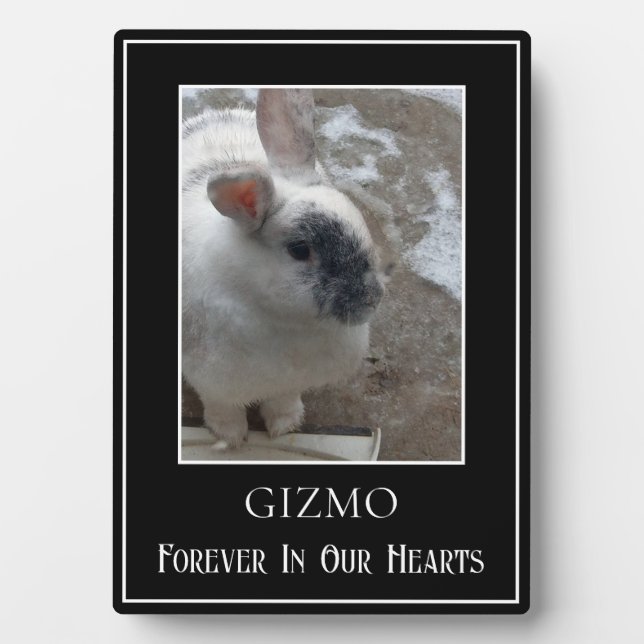 Simple Single Photo Pet Rabbit Memorial Plaque (Front)