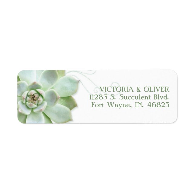 Simple Succulent Cactus Wedding Address (Front)