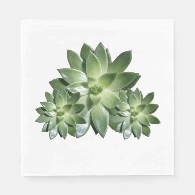 Simple Succulent Paper Napkins (Front)