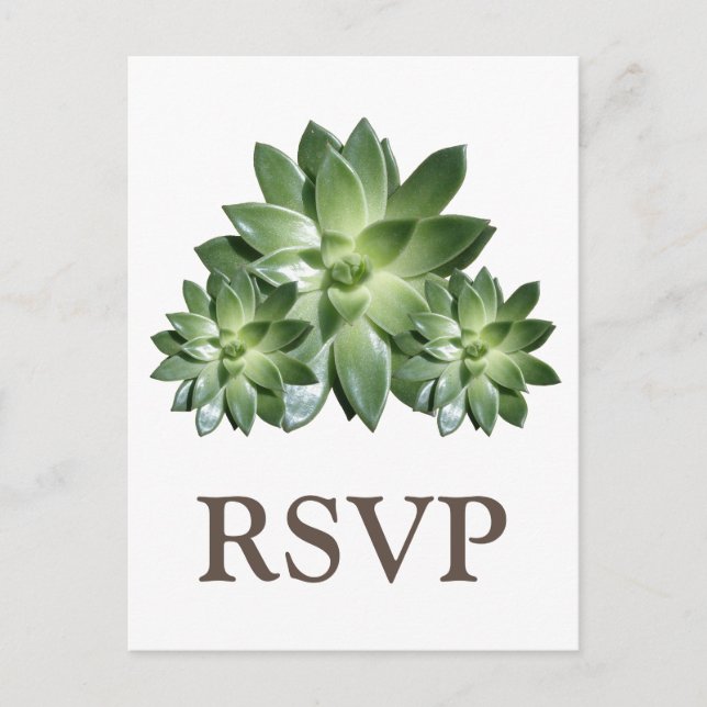 Simple Succulent Wedding RSVP Postcard (Front)