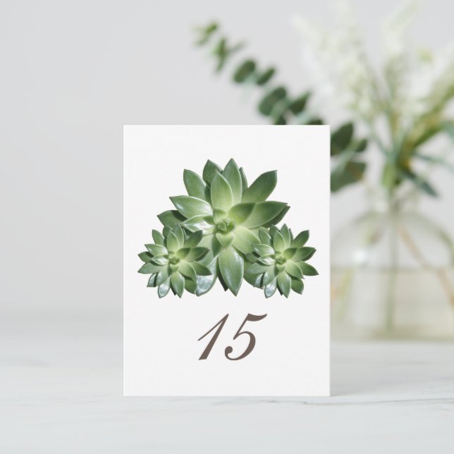 Simple Succulent Wedding Table Number Postcard (Standing Front)