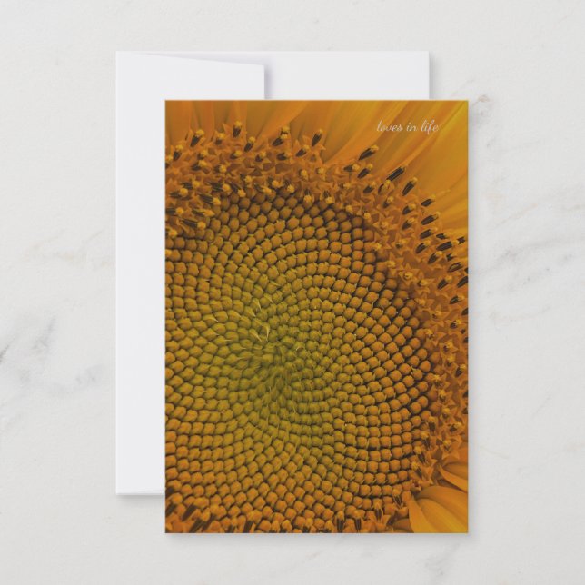 Simple Sunflower Up-close Card (Front)