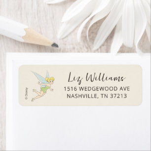Simple Tinker Bell Baby Shower